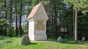 Najstarszy słup graniczny w Polsce. Ma prawie 500 lat i stoi w lesie koło Prostek