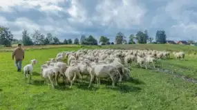 Ależ to było piękne rozpoczęcie jesieni! V Mazurski Redyk u Barbary Niedziejko w Sołdanach