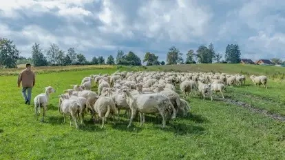 Ależ to było piękne rozpoczęcie jesieni! V Mazurski Redyk u Barbary Niedziejko w Sołdanach