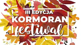 Festiwal Kormorana po raz trzeci. Mazurskie rękodzieło i lokalne smaki w Wilkasach