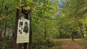 XIX-wieczna perełka znów otwarta. Park podworski w Bludziach zachwyca po renowacji