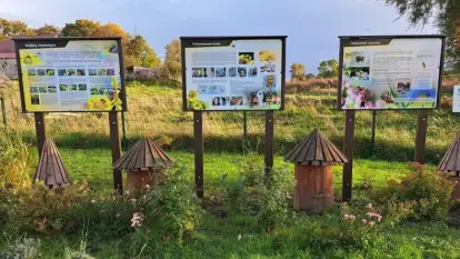 Nowa zielono-edukacyjna przestrzeń. Pszczeli Zakątek powstał w Kożuchach Wielkich