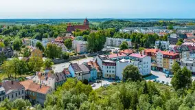 Wspólne mierzenie dębów w Kętrzynie. Mieszkańcy powalczą o pomnikową aleję przy ul. Spacerowej.