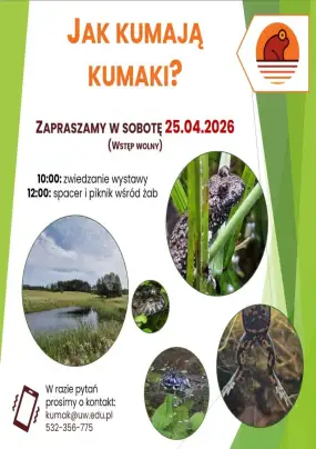 Żabi koncert w Urwitałcie. Nadchodzi Dzień Kumaka w sercu Mazur