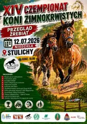 XIV Czempionat Koni Zimnokrwistych – Przegląd Źrebiąt w Stulichach