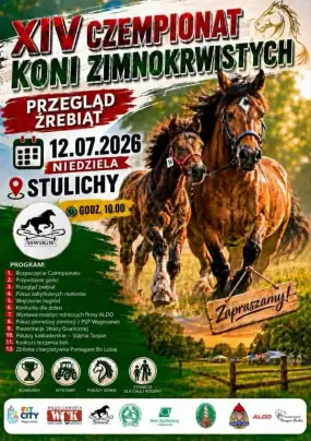 XIV Czempionat Koni Zimnokrwistych – Przegląd Źrebiąt w Stulichach
