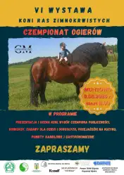 VI Wystawa Koni Ras Zimnokrwistych – Czempionat Ogierów w Muntowie