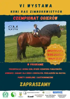 VI Wystawa Koni Ras Zimnokrwistych – Czempionat Ogierów w Muntowie