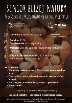 Senior bliżej natury. Odkryj prozdrowotne tajniki mazurskich grzybów podczas warsztatów w Krutyni