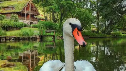 Spływy Kajakowe As-TOUR - zdjęcie 36