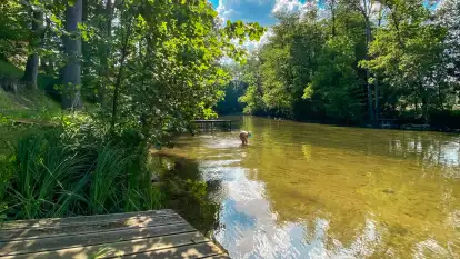 Spływy Kajakowe As-TOUR - zdjęcie 40