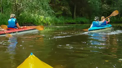 Spływy kajakowe Sapiną - Kruklanki  - zdjęcie 25