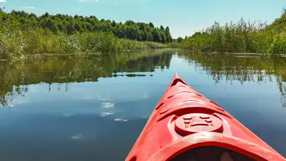Spływy kajakowe Sapiną - Kruklanki  - zdjęcie 18
