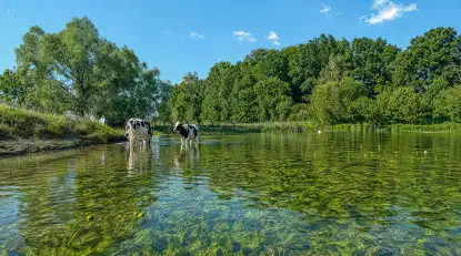 Spływy Kajakowe PTTK Ukta - zdjęcie 14
