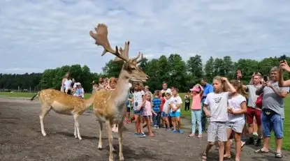 Novaki.pl - Żeglarstwo dla dzieci - zdjęcie 24