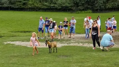 Novaki.pl - Żeglarstwo dla dzieci - zdjęcie 36