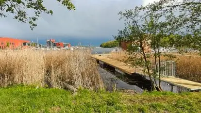 Pomosty Pływające - Majster Warmiński - zdjęcie 12