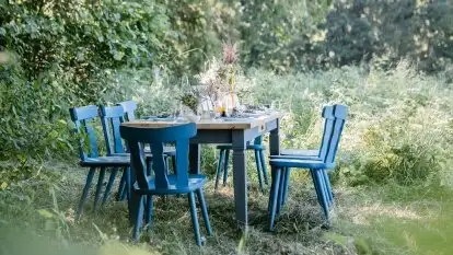 Eventy Kulinarne - Leśne uczty na Mazurach - zdjęcie 7