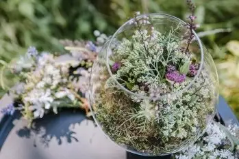 Eventy Kulinarne - Leśne uczty na Mazurach - zdjęcie 13