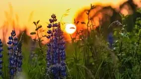 Zachód słońca w okolicach wsi Ublik - zdjęcie 1