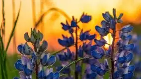 Zachód słońca w okolicach wsi Ublik - zdjęcie 15