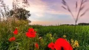 Zachód słońca w okolicach wsi Ublik - zdjęcie 24