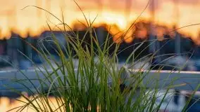 Wschód słońca w Stanicy Wodnej Stranda, sierpień 2021 r. - zdjęcie 3