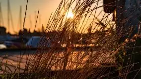 Zachód słońca nad jeziorem Bocznym, Tło Dla Mew, wrzesień 2021 - zdjęcie 4