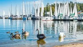 Suszenie żagli nad jeziorem Niegocin, Wilkasy - zdjęcie 40