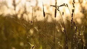 Zachód słońca nad jeziorem Dobskim, wrzesień 2021 r. - zdjęcie 24