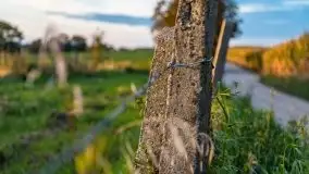 Zachód słońca w Pierkunowie, wrzesień 2021 r. - zdjęcie 18