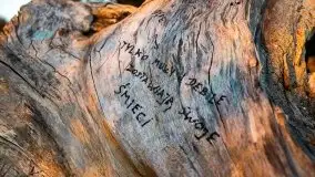 Zachód słońca, Giżycko, jezioro Niegocin, październik 2021 r. - zdjęcie 10