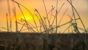 Październikowy wschód słońca, mgły i szron - zdjęcie 10