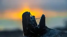 Październikowy wschód słońca, mgły i szron - zdjęcie 21