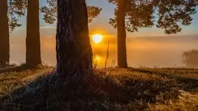 Październikowy wschód słońca, mgły i szron - zdjęcie 65