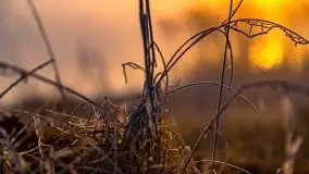 Październikowy wschód słońca, mgły i szron - zdjęcie 66