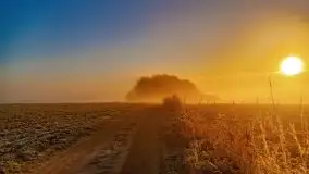 Październikowy wschód słońca, mgły i szron - zdjęcie 61