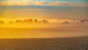 Październikowy wschód słońca, mgły i szron - zdjęcie 70