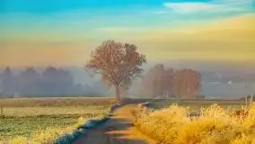 Październikowy wschód słońca, mgły i szron - zdjęcie 17