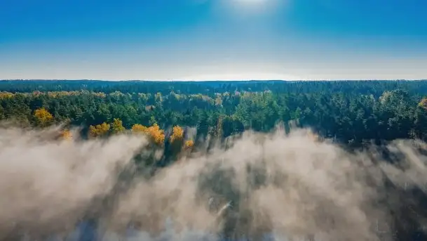 Początki mazurskiej złotej jesieni, październik 2021 r. - zdjęcie 9