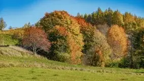 Początki mazurskiej złotej jesieni, październik 2021 r. - zdjęcie 27