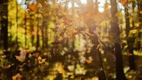 Początki mazurskiej złotej jesieni, październik 2021 r. - zdjęcie 10