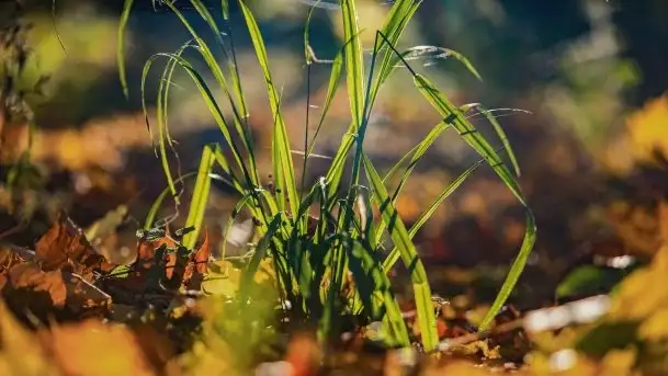 Początki mazurskiej złotej jesieni, październik 2021 r. - zdjęcie 8