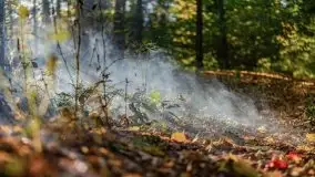 Początki mazurskiej złotej jesieni, październik 2021 r. - zdjęcie 36