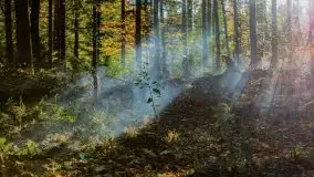 Początki mazurskiej złotej jesieni, październik 2021 r. - zdjęcie 17