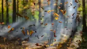 Początki mazurskiej złotej jesieni, październik 2021 r. - zdjęcie 26