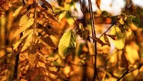 Zachód słońca nad jeziorem Krzywa Kuta - zdjęcie 23