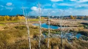 Jesień z lotu ptaka w okolicach jezior Gołdopiwo i Wilkus - zdjęcie 1