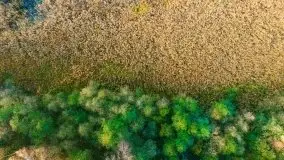 Jesień z lotu ptaka w okolicach jezior Gołdopiwo i Wilkus - zdjęcie 24