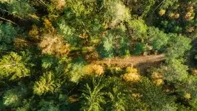 Jesień z lotu ptaka w okolicach jezior Gołdopiwo i Wilkus - zdjęcie 14